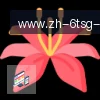 6T体育 logo