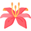 6T体育 logo