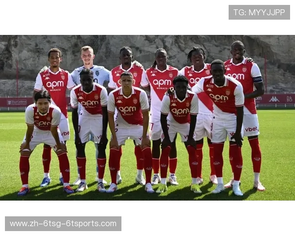 法甲2024年赛季球迷支持度：各队球迷的支持情况与球队关系